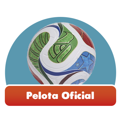 Pelota Oficial